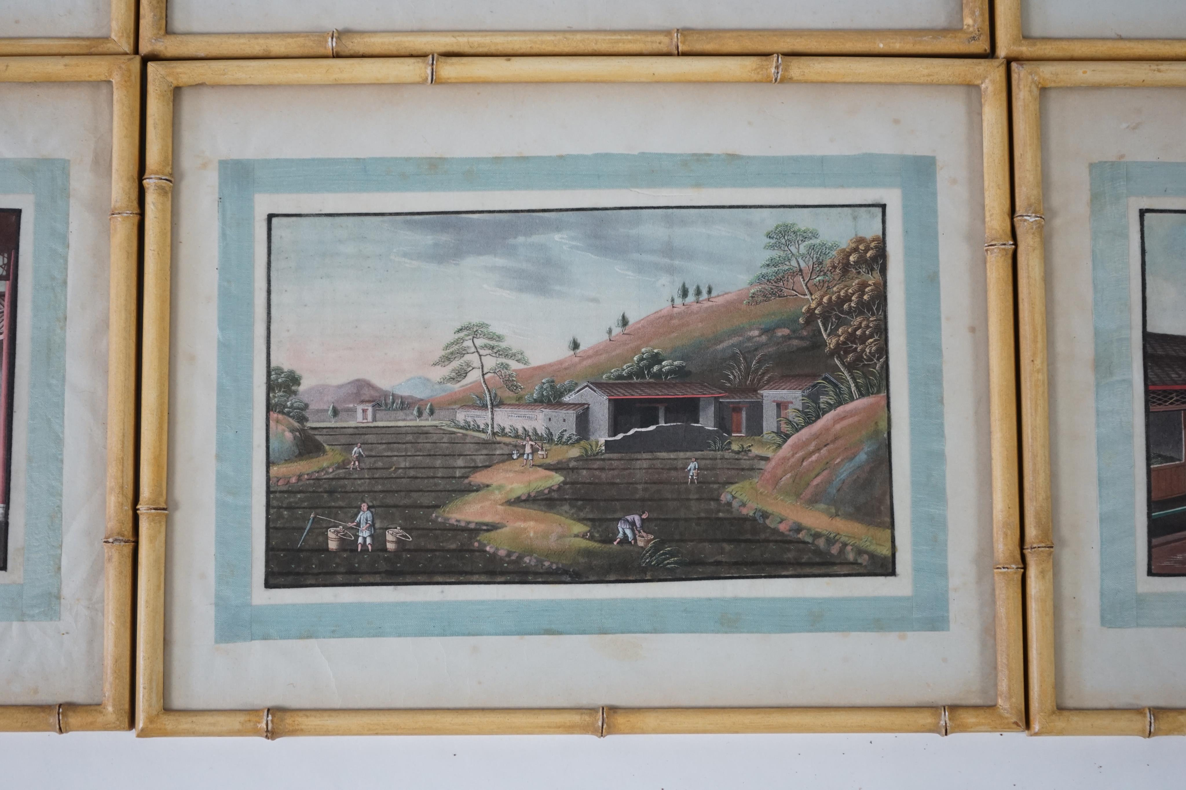 A set of twelve Chinese gouache paintings on pith paper of tea production, circle of Tingqua c.1840